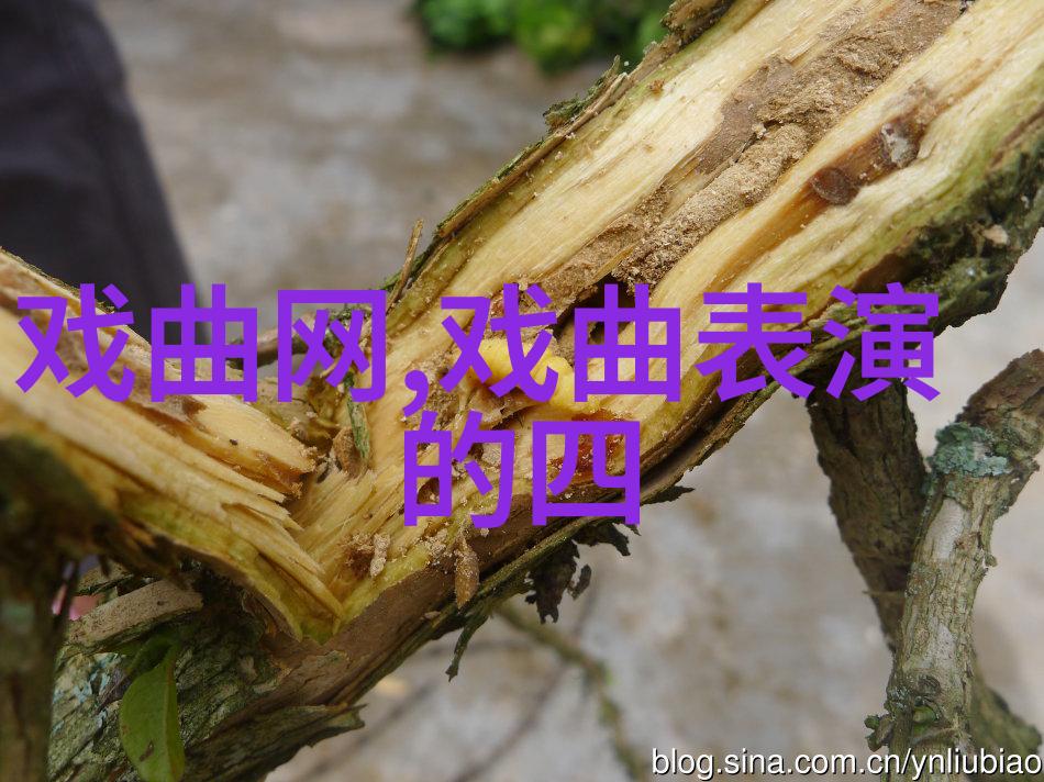 传统皮影戏成脑瘫孩子的快乐源泉