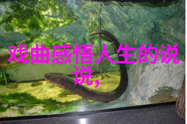 京剧卢沟晓月